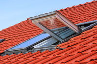 Blean roof window