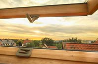 rated Blean roof window companies